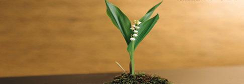 北京時代被北京市海淀區(qū)人民政府評為中關村科技園區(qū)海淀園2004年度“優(yōu)秀新技術(shù)企業(yè)”